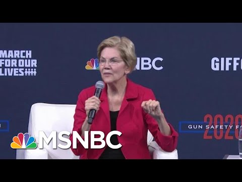 Warren: We Need To Treat Gun Control 'Like The Public Health Emergency It Is' | Craig Melvin | MSNBC