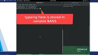Project7-4 Bash scripting intro and git intro