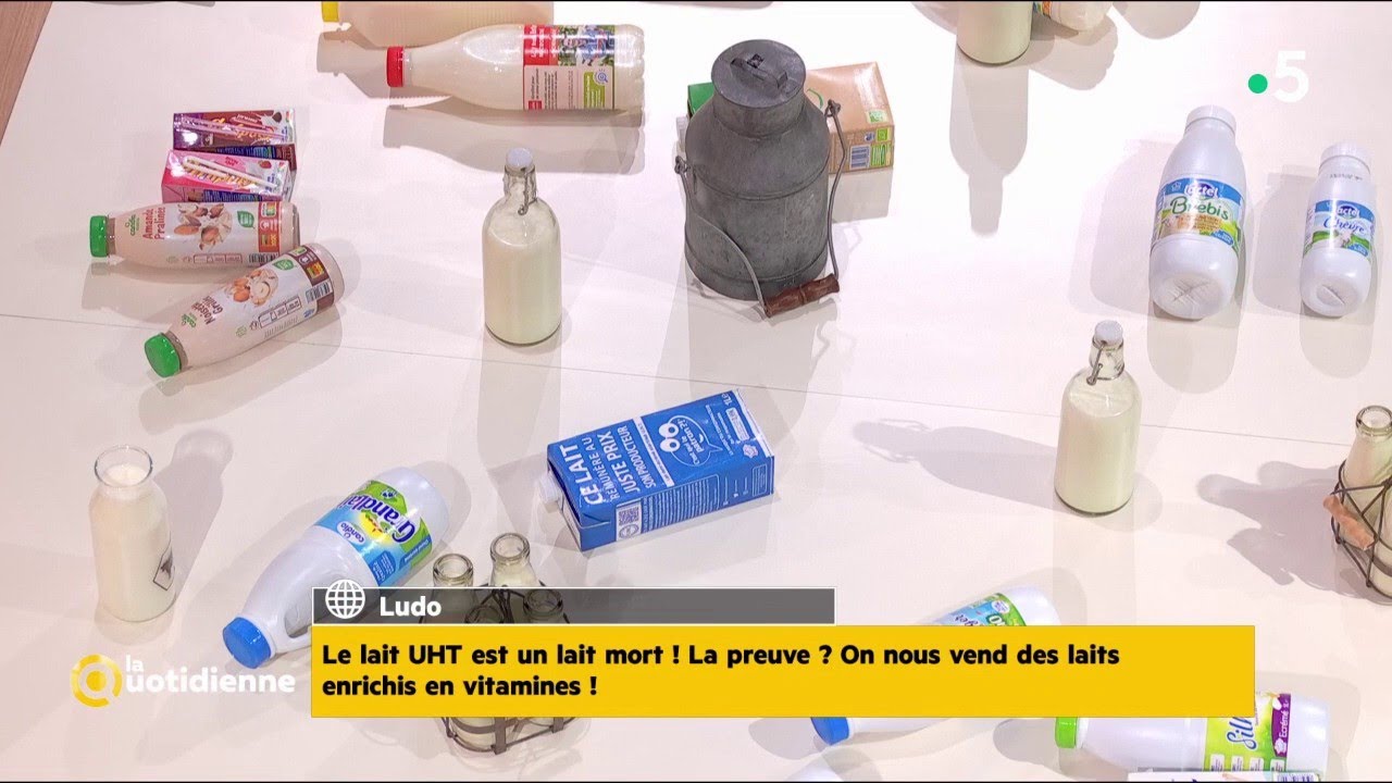 Stérilisé, écrémé, sans lactose : comment bien choisir son lait ? - La Quotidienne