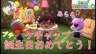 【あつ森】7月27日はケチャップの誕生日！おめでとう！！