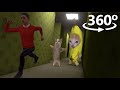 Happy happy happy cat in 360  vr  4k