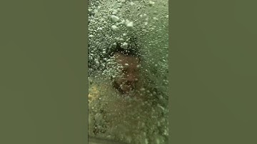 Dive case + freeze frame camera shot effect #insta360