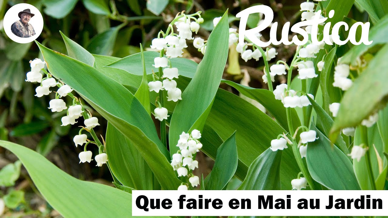 Que faire en mai au jardin ?