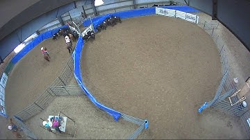 Big Sky Ranch Sorting Saddle Series #5 - #9 - Round #1 - Ride #34