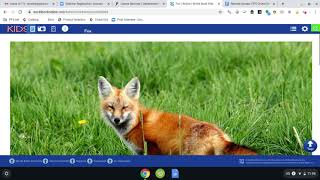 Using World Book Online Kids Edition