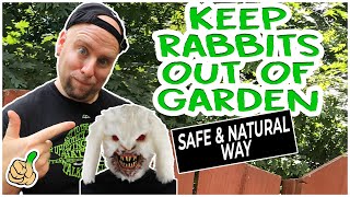 Keep Rabbits Out Of The Garden [7 Tips]