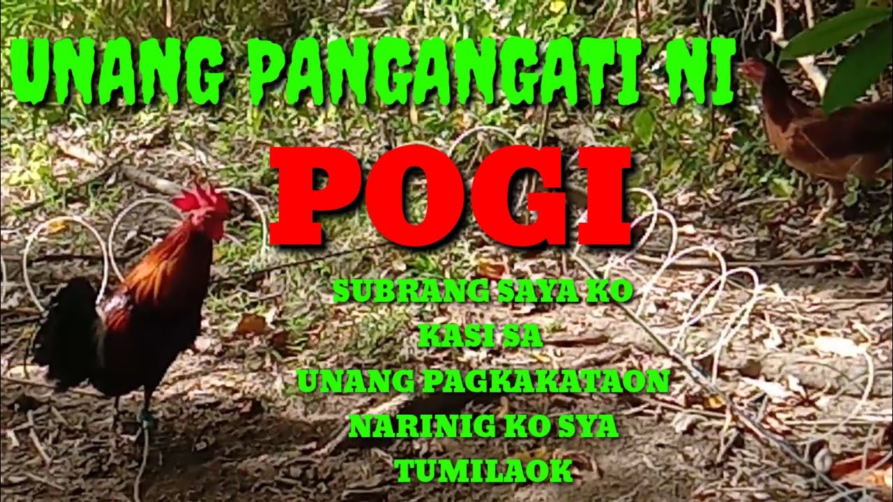 UNANG PANGANGATI NI POGI LABUYO