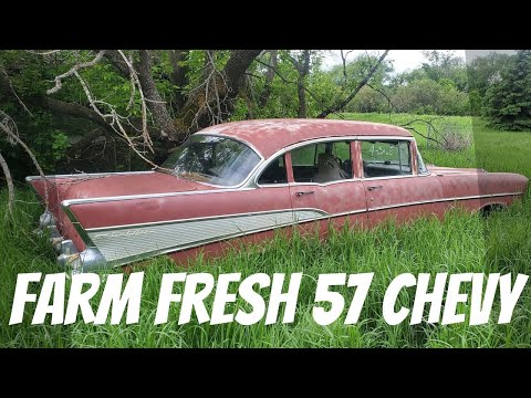 abandoned-1957-chevy-belair-will-it-run-and-drive-after-sitting-for-years!---farm-field-rescue