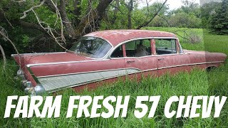 ABANDONED 1957 Chevy BelAir will it run and drive after sitting for YEARS!  Farm Field Rescue