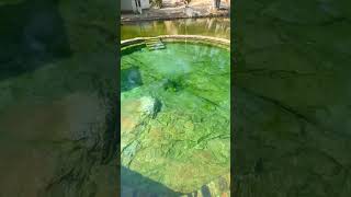 Pozas de Aguas Termales en Atotonilco, Santa María Zacatepec, Putla Oaxaca
