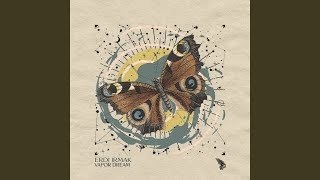 Vapor Dream - Erdi Irmak