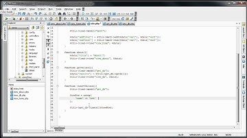 CodeIgniter Tutorials  Introduction to CodeIgniter   MySQL Database   Inserting Part 9 11e learning asia