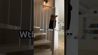 Yessss Sir Hired Her In My Room Yesterday