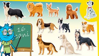 Razze di cani e curiosità 🐕 🐶 | Video di apprendimento divertente ed educativo