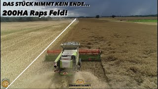 DAS STÜCK NIMMT KEIN ENDE... 200HA Raps Feld! XXXL Rapsernte 740ha 3 Claas Lexion Mähdrescher 2023