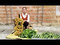 Banana harvest, cucumber go to market sell, daily life, dang luu