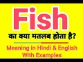 Fish meaning in Hindi | Fish ka kya matlab hota hai | Daily use English words