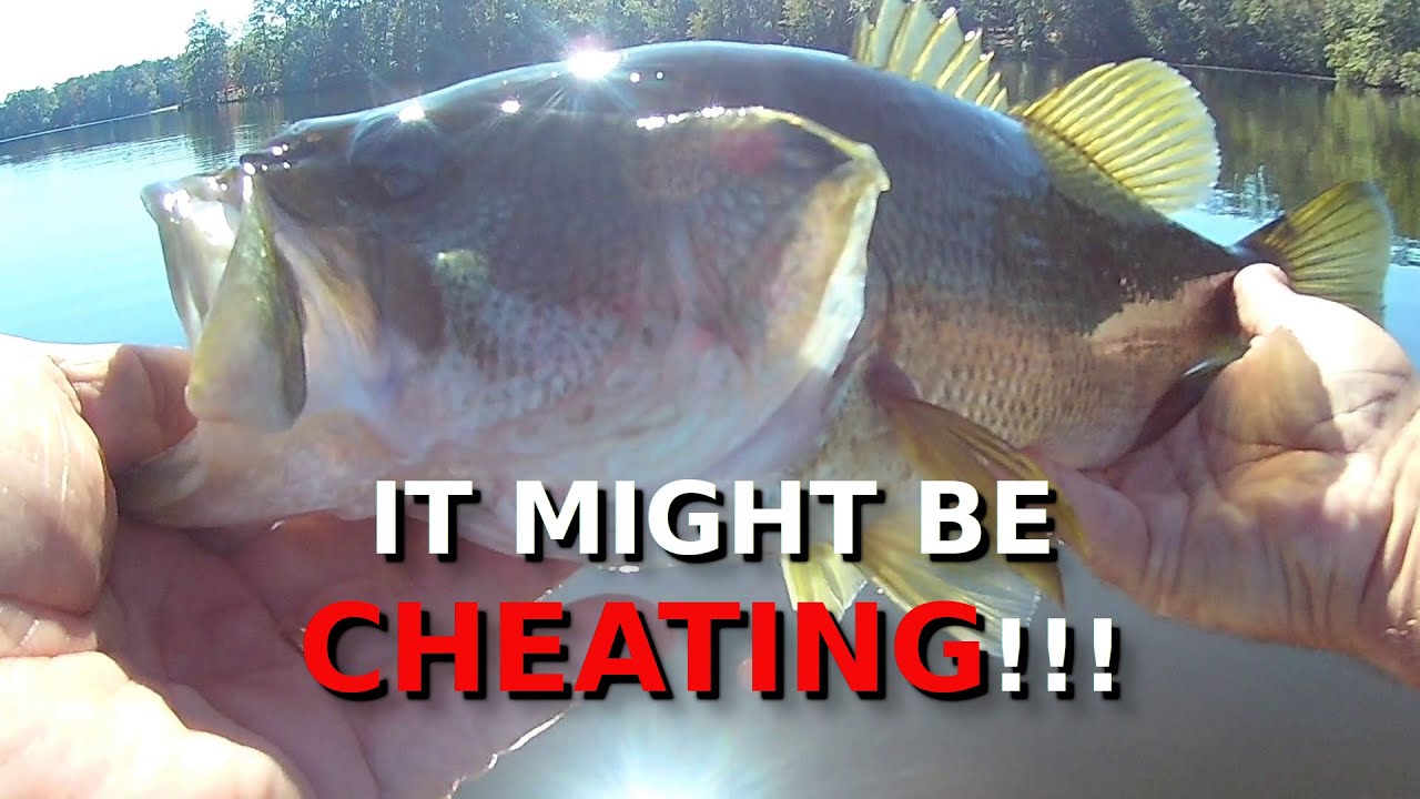 Finding Late Fall Bass Is EASY! STOP Fishing EMPTY WATER!!!!