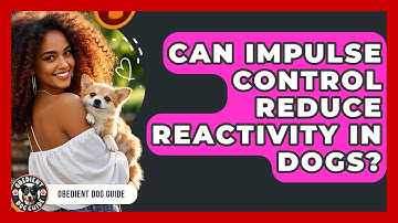Can Impulse Control Reduce Reactivity in Dogs? | Obedient Dog Guide