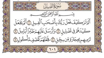 سورة الفيل بصوت ياسر الدوسري 