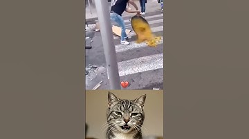 give this video a title (wrong answers only) #educational #ohio #usa #trending #education #tips..