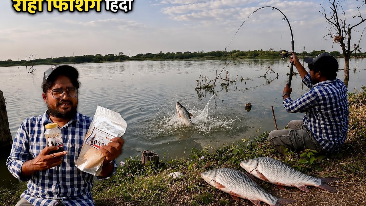 Rohu Fishing Secret Bait | 100% Working Formula || Rohu Fishing Hindi || KAAL FISHER