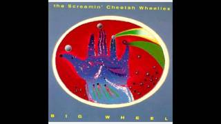 Video thumbnail of "The Screamin' Cheetah Wheelies-Grace.wmv"