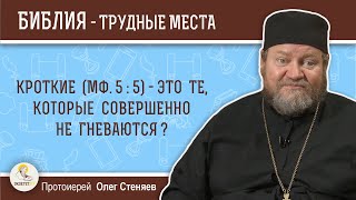 Кроткие (Мф.5:5) - это те, которые совершенно не гневаются?  Протоиерей Олег Стеняев