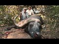 Season 1 - Episode 6 - Buffalo&#39;s and Bow Hunting