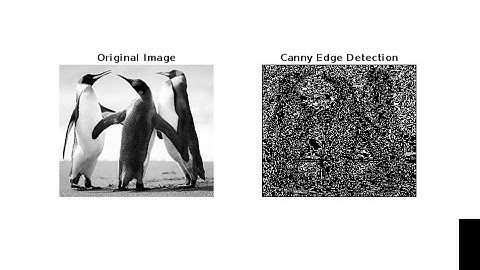 MATLAB Canny Edge Detection Tutorial: Step-by-Step Implementation with Code