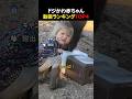 ドジかわ赤ちゃん