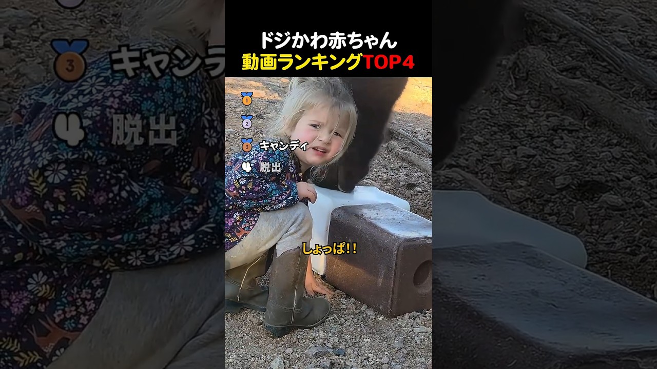 ドジかわ赤ちゃん