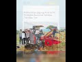 Polri menggelar panen raya jagung serentak di 36 polda di seluruh Indonesia.