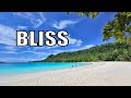 Tropical  Summer Wind/Relaxing music ,Spa Music,Massage Soothing Music#shorts #relaxingmusic