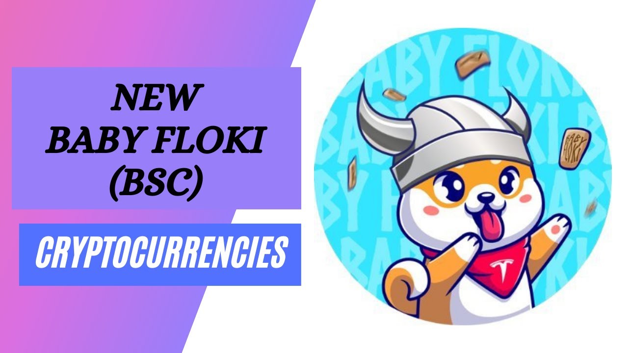 Baby Floki (BSC) SCAM ALERT? Only For Those Who Don't Believe.