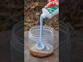 Survival Skills SIMPLE And USEFUL save SOAP in Forest #bestsurvivalskills #usefulsurvivalskills