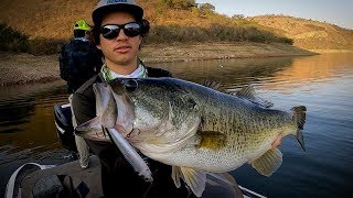 La Mejor Pesca De Lobinas Del 2020 Pura Gigante