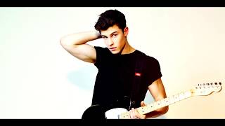 Shawn Mendes - Fallin' All In You (Audio)