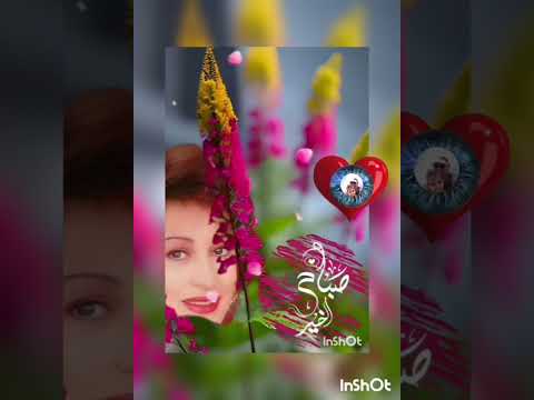 ورده الجزائريه يا حبيبي كنت واحشني واتس