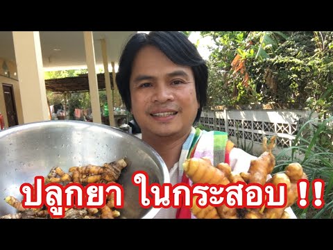 สารต้านอนุมูลอิสระ ช่วยชะลอวัย ปลูกขมิ้นในกระสอบ สำหรับคนเมือง | เกษตรกรชาวบ้าน