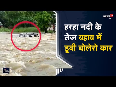 Bihar | हरहा नदी में बह गई बोलेरो कार, ग्रामीणों ने चालक को बचाया, देखें वीडियो | Viral Video