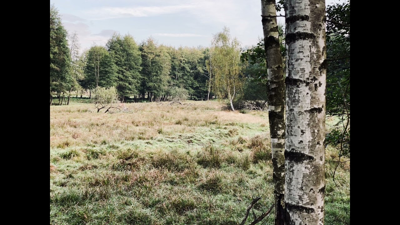 Expedice hranice ČR - Ašský výběžek