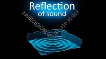 Reflection of sound || 3D animated video || class 9th || Physics || Sound ||