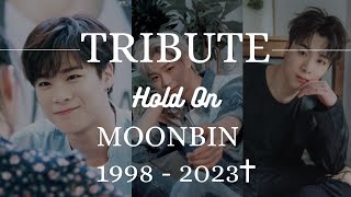 Tribute to Astro's Moonbin (we will always be with you)