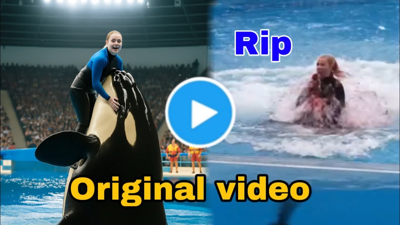 jessica radcliffe video | jessica radcliffe orca attack |Jessica Radcliffe Video | jessica radcliffe - YouTube