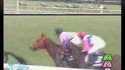 東方仗助 Youtube