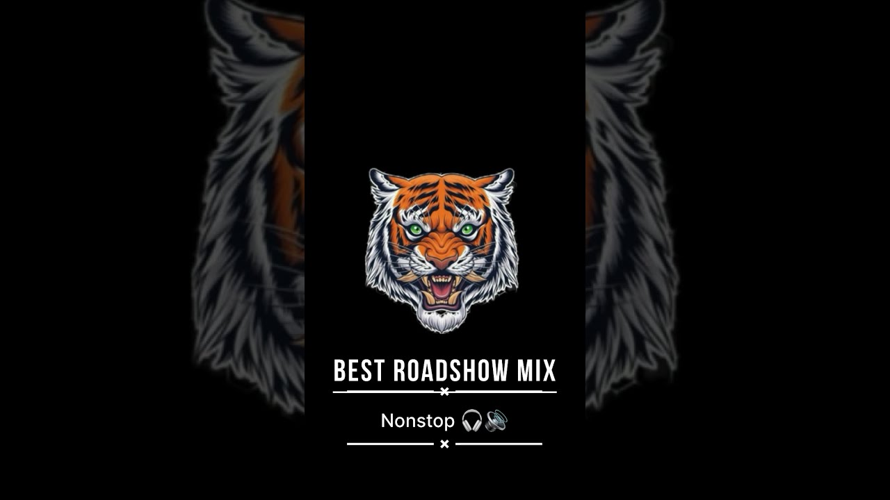 Best Roadshow mix non stop  dj remix old dj song