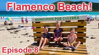 Travel vlog - Exploring Puerto Rico: Boat Ride to Culebra’s World-Famous Flamenco Beach!