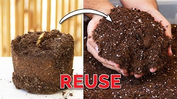 How to Re-use Old Potting Soil | Revitalize and Save Money