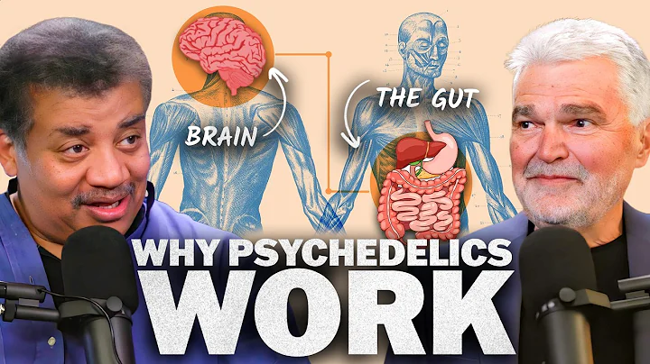 The Gut-Brain Connection, with Emeran Mayer